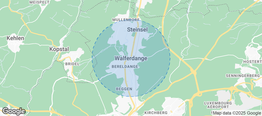 Discover Walferdange Airbnb Analytics
